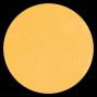 All of these sunspots are stable and quiet, posing no threat for strong solar flares. [Photo courtesy of NASA SDO/HMI]