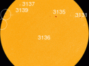 All of today's sunspots have stable magnetic fields that pose almost no threat for strong solar flares. [Photo courtesy of NASA SDO/HMI]